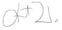 S. Wu Signature